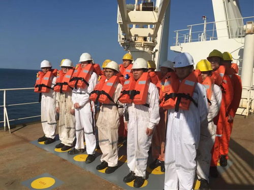 陽海國際船舶公司誠聘招生代理，共拓國際船舶管理業務新篇章